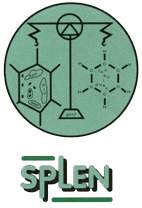 Logo splen
