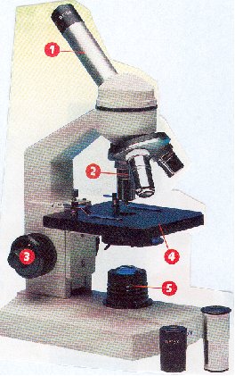 microscope