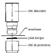 tête de sonde